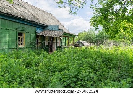 Old abandoned wooden house among wild tall weeds and trees. Bolshaya Doroga village, Tambovsky region, Russia.