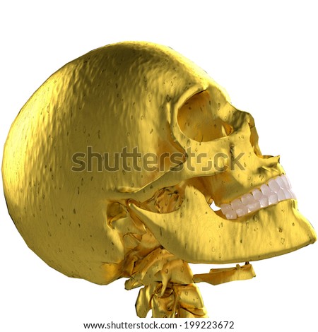 golden skull head