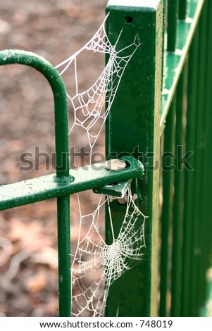 Frozen spider web in a corner of a metal fence post