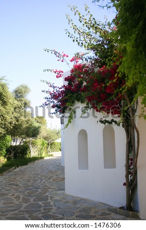 White wash stone house with arch windows, bougainvillea growing by the wall.
