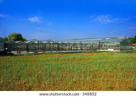 A green-house, hot-house, an agricultural architectural building.