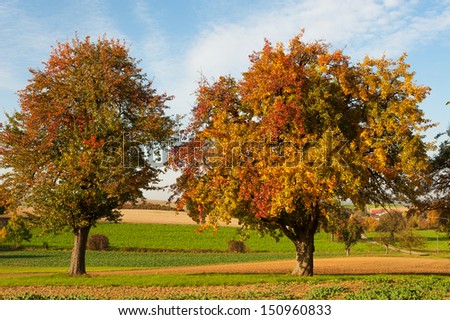 Similar – Image, Stock Photo Summer in Kraichgau warm