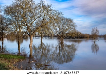 Similar – Image, Stock Photo Floods on the Rhine Deluge