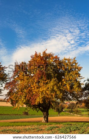 Similar – Image, Stock Photo Summer in Kraichgau warm