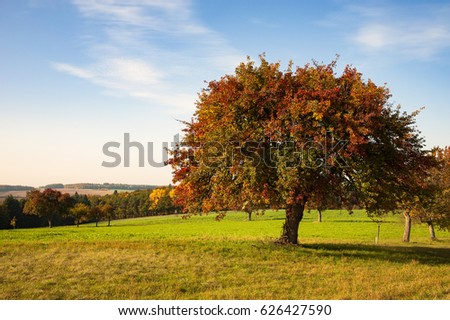 Similar – Image, Stock Photo Summer in Kraichgau warm