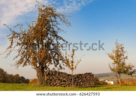 Similar – Image, Stock Photo Summer in Kraichgau warm