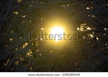 Similar – Image, Stock Photo Cold curvature Snow Winter