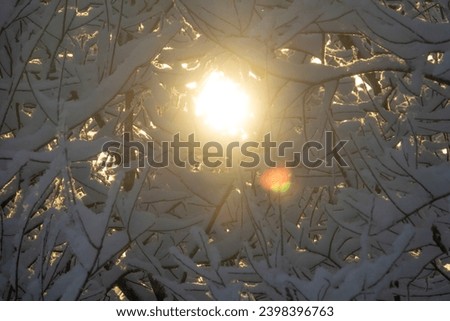 Similar – Image, Stock Photo Cold curvature Snow Winter