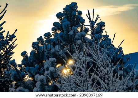 Similar – Image, Stock Photo Cold curvature Snow Winter