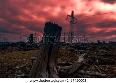 Similar – Foto Bild Natur setzt sich durch