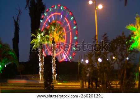 Lighted palm trees and illumination on  street South of the city.  entertainment industry