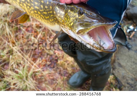 large pike inaccessible rivers and lakes