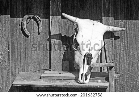 The skull of a dead cow and an upside down horseshoe signify bad luck and death on this old barn