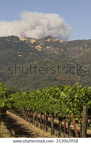 The Butts Fire in Pope Valley over shadows the vineyards and wineries of California\'s Napa Valley