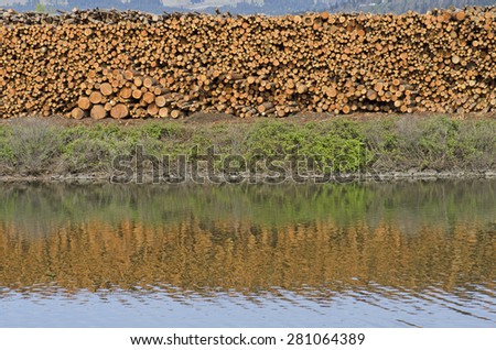 stack of conifer fir logs sit next to a log pond at a lumber mill in the Columbia River Gorge