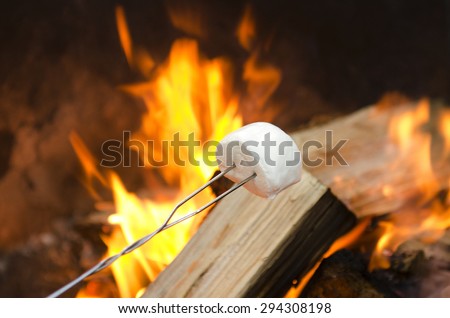 Roasting marshmallows over an open campfire for smores