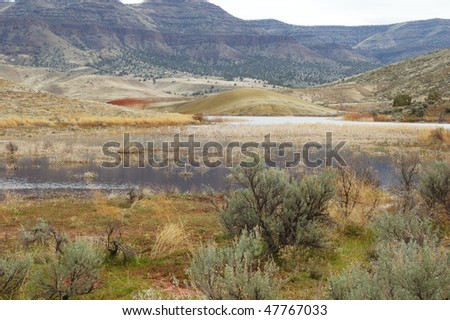 Marsh area on Bridge Creek, near Painted Cove Trail, Painted Hills Unit, John Day Fossil Beds National Monument, Oregon