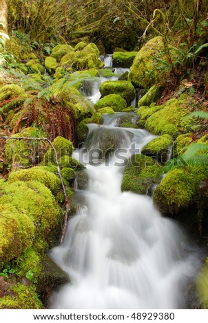 Small forest stream falling to the North Umpqua River, Umpqua National Forest near Roseburg Oregon