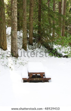 Picnic table covered in by recent snow at Whitehorse Falls along the North Umpqua River Hwy, Umpqua National Forest near Roseburg Oregon