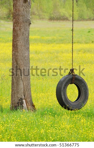 Tire swing hanging from a white oak tree in a field of yellow wildflowers and grass