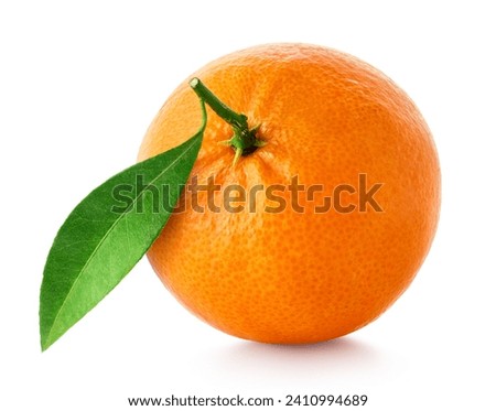 Similar – Image, Stock Photo Tangerine fresh  with leaves close up