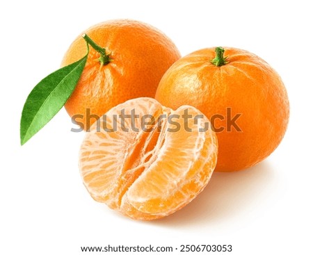 Similar – Image, Stock Photo ripe tangerines and green leaves on a purple background