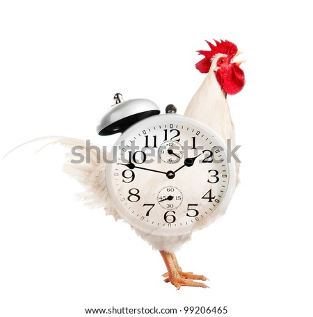 Collage. Rooster Alarm Clock Stock Photo 99206465 : Shutterstock