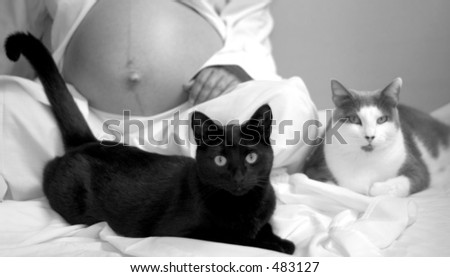Pregnant woman with cats