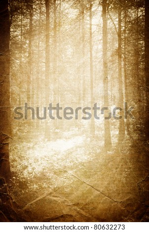 Sunlight in the forest, vintage background with space for text.