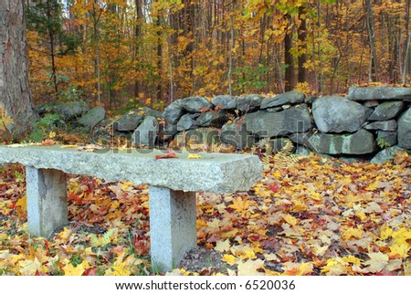 Stone Bench in Autumn II