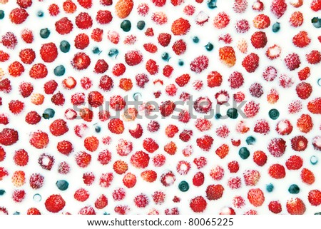 Healthy food background - closeup of wild berries (strawberries and blueberries) floating in fresh milk