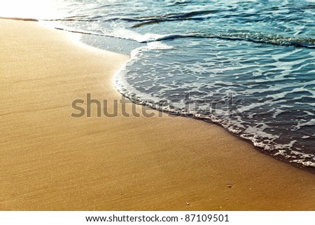Shiny tropic sea wave on golden beach sand in sunset light