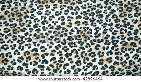 Leopard skin rug in a luxury home.