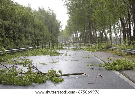 Similar – Image, Stock Photo fallen branch after storm on the meadow under trees