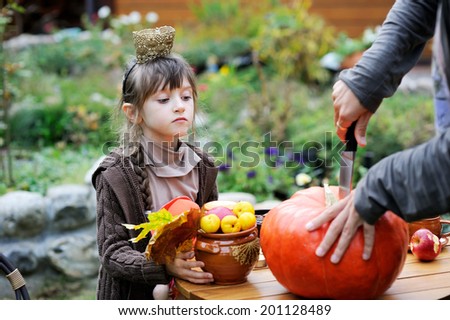 Adorable serious kid girl lookig how her father cuts big orange pumpkin outdoors in the garden