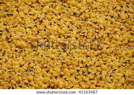 Thousands of yellow rubber ducks floating on the Ohio River during Riverfest in Cincinnati Ohio.