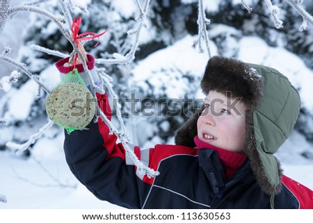 Child in winter cap hanging up a fat-ball for birds