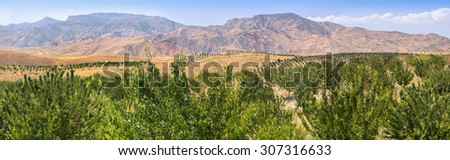 The gardens of Tajikistan in Khatlon region. Underground laid irrigation system