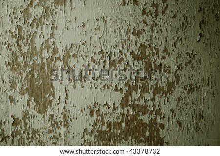 Severe peeling paint wooden doors,