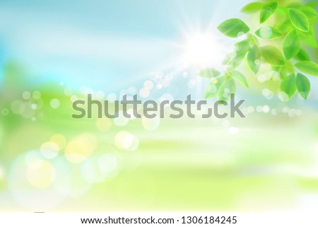 Fresh Green