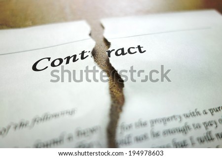 Torn legal contract - legal concept