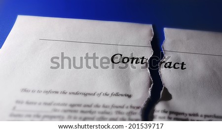 Torn legal contract agreement, on blue