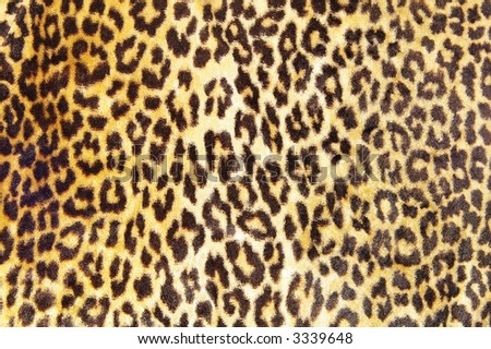 Closeup of a brown and black leopard print