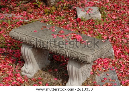 Bench in a cemetery covered with fallen flowers.