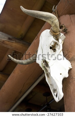 Vertical image of a cow skull hanging on a post.