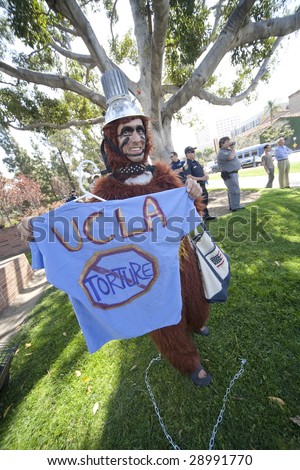 LOS ANGELES - APRIL 22: James Chavonac dresses as an orangutan to non-violently protest animal research at UCLA on Earth Day April 22, 2009 in Los Angeles.