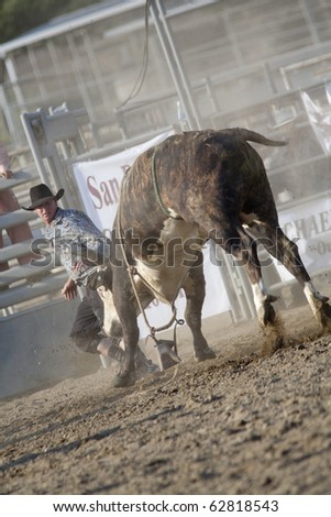 SAN DIMAS, CA - OCTOBER 2: Unidentified cowboy draws in a bucking bull at the San Dimas Rodeo on October 2, 2010 in San Dimas, CA.