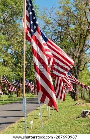 American flags lining the road to Colfax Cemetery on Memorial Day Weekend, Colfax, Washington