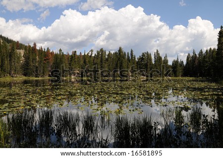 Nymph Lake, Rocky Mountain National Park, Estes Park, Colorado