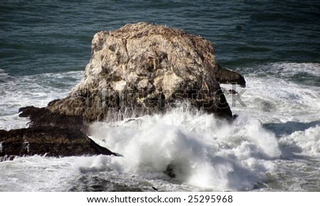 A rock, with waves crashing on it and birds ignoring the waves, off the coast of Northern California.
